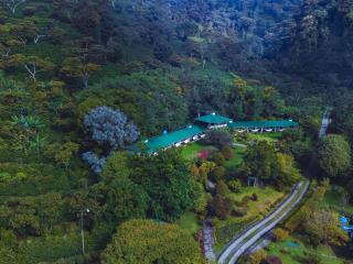 Hotel Finca Lerida Coffee Plantation and Boutique Hotel - 8