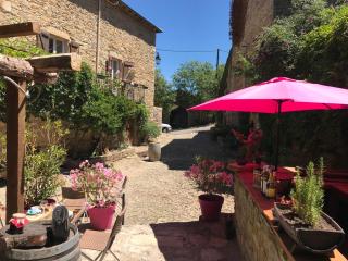 Domaine d'Alcapiès - Saint-Jean-dʼAlcapiès - 4