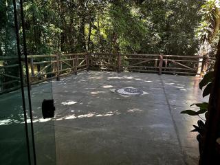 Linda casa com cachoeira privativa, próximo a praia e para até 20 pessoas - Caraguatatuba - 8
