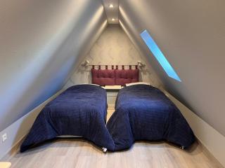 Gîte du Figuier 4 à 6 personnes Sélestat Centre-Alsace - Sélestat - 9