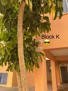 Limnaria Gardens K203 in Paphos - Paphos - 7