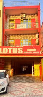 Lotus Homestay - Bharwain - 4
