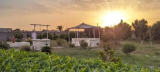 Villa Yasser darkaid - Safi - 6