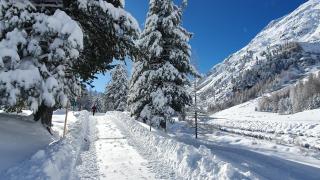 Chesa Chavriol - Celerina - Celerina - 1