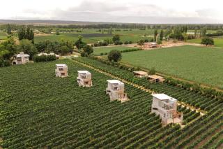 Agrelo Vines Lodge - Agrelo - 0