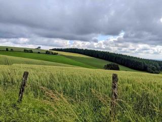 Typical Cantal house in Montvert - - 2
