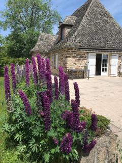 Typical Cantal house in Montvert - - 1