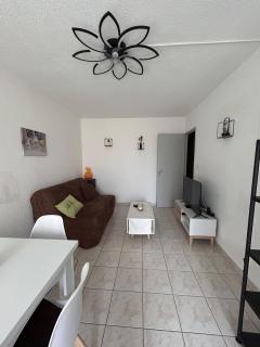Appartement à ARGELES SUR MER PLAGE - Argelès-sur-Mer - 7