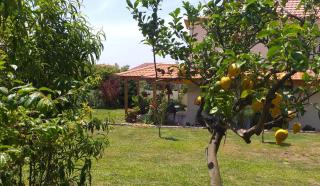 Minho at Home - Viana do Castelo - 1