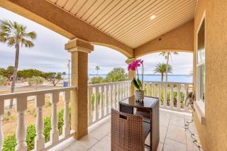 Watch Dolphins St Augustine Gem Near Downtown! - 9