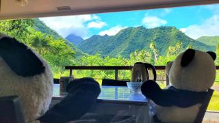 Teahupo'o Lodge, Fare Raepu'u, l'aventure du bout de l'île en famille ou entre amis - Teahupoo - 1