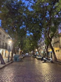 Apartamento la Porvera - Jerez de la Frontera - 1
