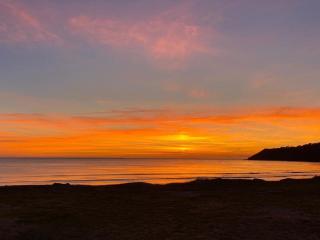 Albizia - Saint-Pair-sur-Mer - 8