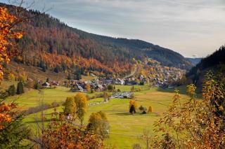 Galeriewohnung in Menzenschwand - Menzenschwand-Hinterdorf - 2