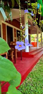 Sandra Martha Villa - Mararikulam - 9