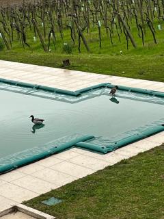 Agriturismo Al Dugale - Lazise - 9