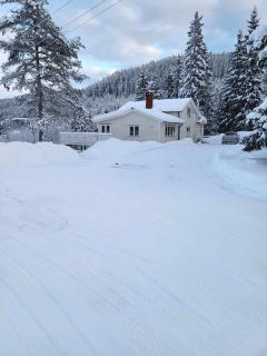 Cottage 120m2-Gardermoen-nature-skiing and hiking - 8