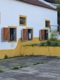 Casa Luisa Casquinha - Vila Franca de Xira - 3