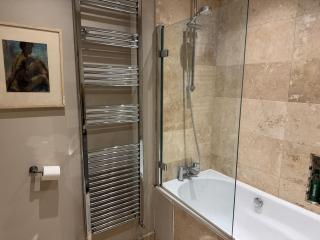 Spacious flat with south facing garden - Londra - 1