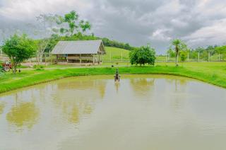 Sitio charmoso e completo com otima area de lazer - Itajaí - 7