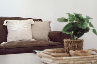 Palm Crest Curacao 151A - 4