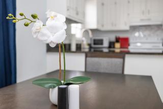 New! Special Rate for First Bookings! 2 Bedroom - Charlotte - 5