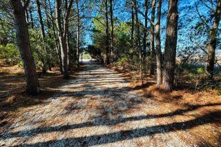 The Landings 12127 - 1