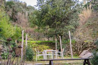 Il limoneto dei Cinque Sensi,apartment with garden - Vernazza - 3