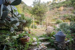 Il limoneto dei Cinque Sensi,apartment with garden - Vernazza - 1