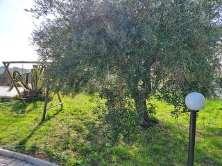 Villa Marusia - Tollo - 8