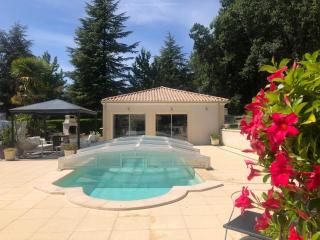 Les oiseaux du paradis - 2