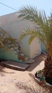 Auberge l'ombre des palmiers - Atar - 1