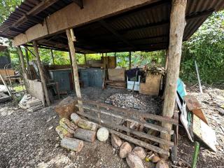 Anas place Siusega - Vaitele - 4
