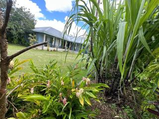 Anas place Siusega - Vaitele - 0