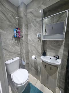 Gorgeous Studio in Wembley Kingsbury - Wealdstone - 9