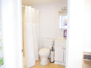 Monthly - Dumaine Historic Gem - Front House 1bed - New Orleans - 3