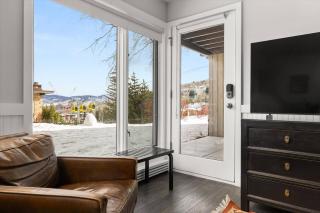 Shadowbrook 102 - Snowmass Village - 1