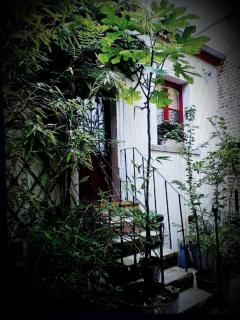 Le nichoir aux oiseaux - Paris - 0