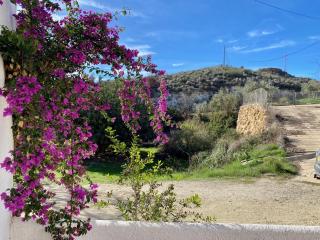 Mojacar farmhouse apartments with pool - Los Gallardos - 9