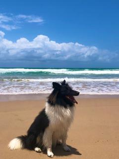 Flat Cupe beach living - 2