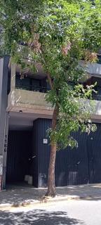 Monoambiente céntrico en planta baja con patio - Rosario - 5