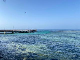 Hasy' House-You Jia - Djedda - 9