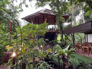 Tarzan's Camp - Khao Sok - 4