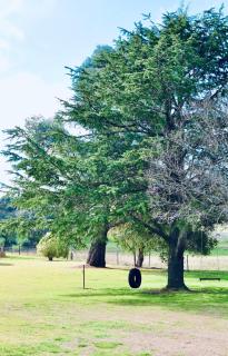 York Huon Farmhouse - - 8