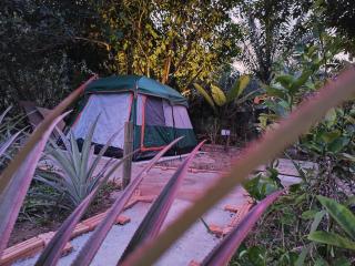 Tarzan's Camp - Khao Sok - 5