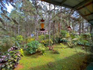 Unique & Affordable Glamping - Città di Panama - 3