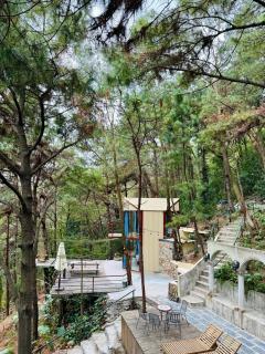 Tổ Chim House - Sóc Sơn - 6