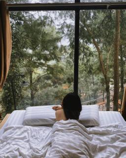 Nhà Gỗ Rừng Thông - Sóc Sơn - 0