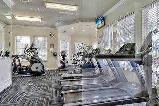 8157 SUN PALM DR 6BED - 4