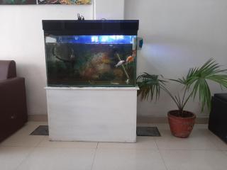 Hotel Lake n Yeti - Pokhara - 7